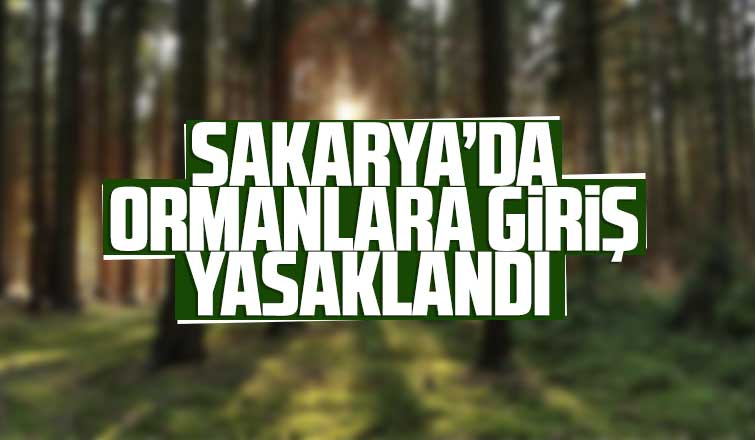 Sakaryada ormanlara giriş yasaklandı