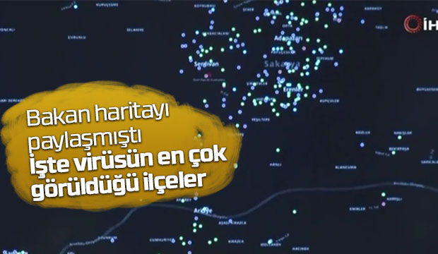 Sakaryada virüsün en çok görüldüğü ilçeler