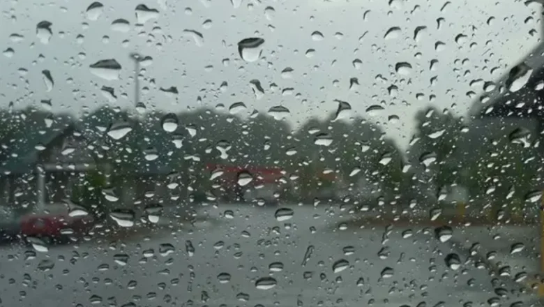 Sakarya'da yağmur etkisini gösterdi; Yağışlı hava kaç gün sürecek?