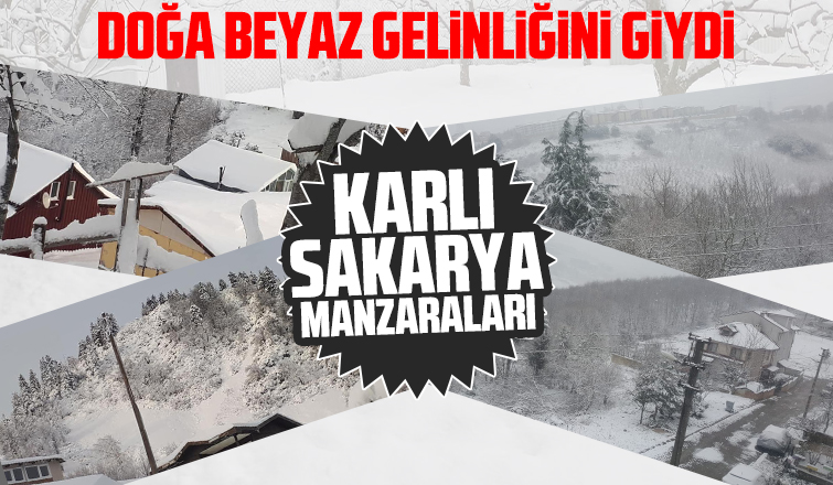 Sakaryadan kar manzaraları