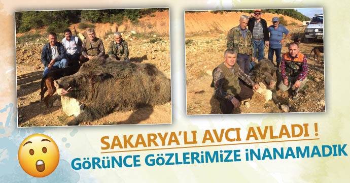 Sakaryalı avcı avladı