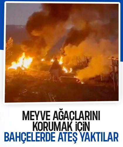 Sakaryalı çiftçiler geceyi bahçelerde ateş yakarak geçirdi