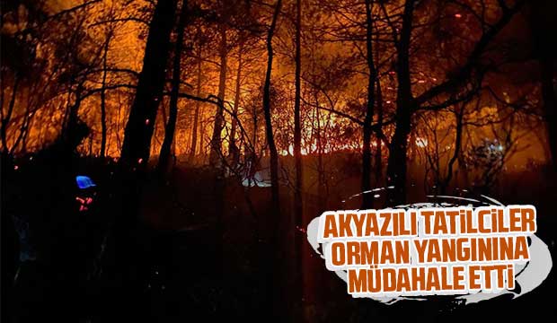 Sakaryalı tatilciler orman yangınına müdahale etti