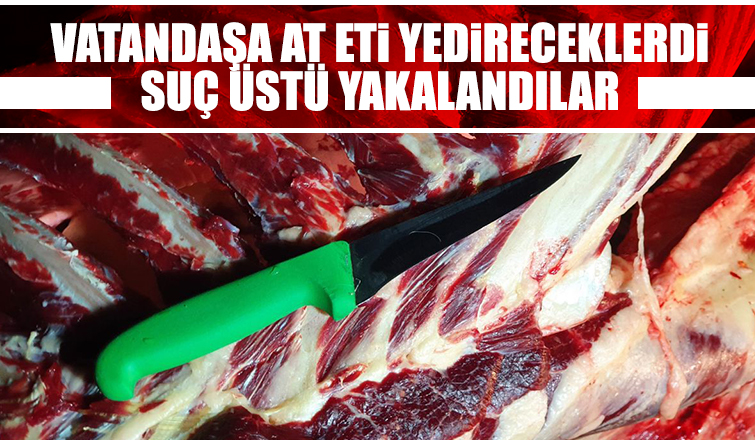 Sakaryalılara at eti yedireceklerdi, yakalandılar