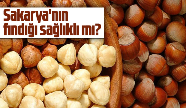 Sakaryanın fındığı sağlıklı mı