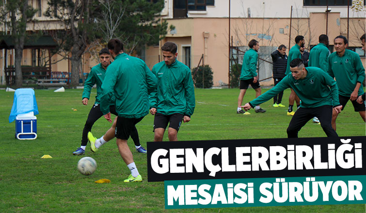 Sakaryaspor, Gençlerbirliği mesaisinde