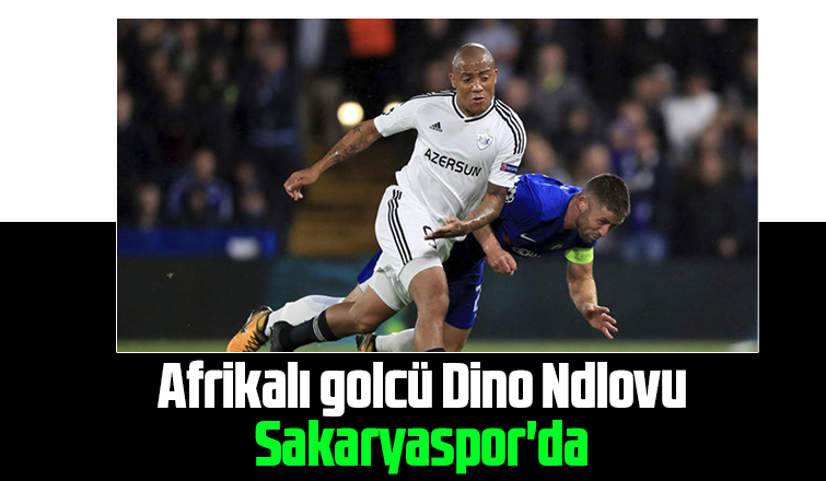 Sakaryaspor o golcüyü renklerine kattı