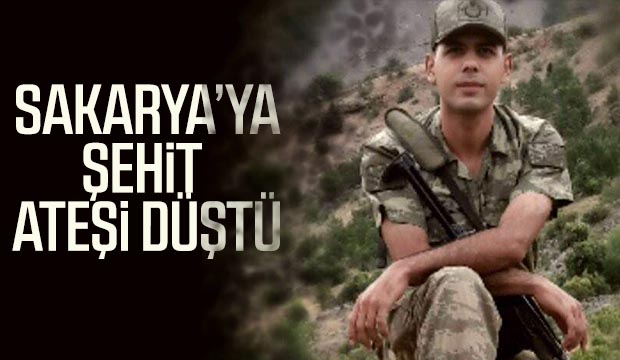 Sakaryaya Şehit Ateşi Düştü