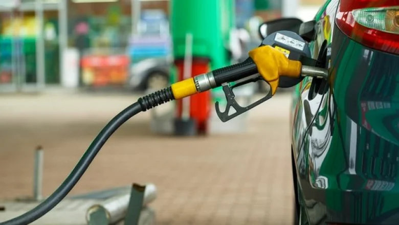 Sakura ağaçları şehri görsel bir şölene dönüştürdü