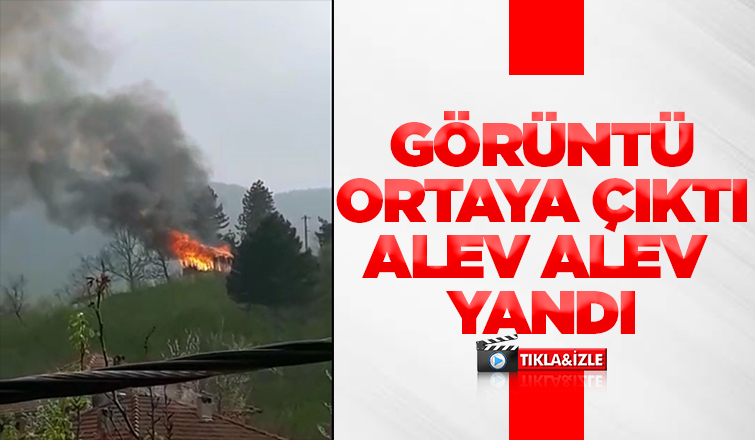 Samanlık böyle yandı