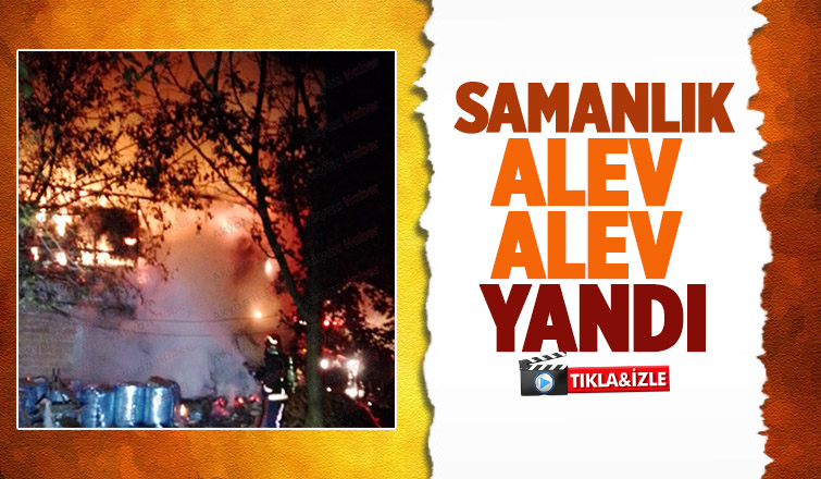 Samanlık yangında kül oldu