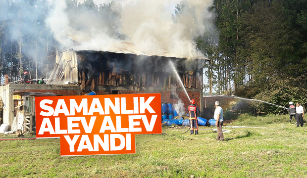  Samanlık Yangını Korkuttu