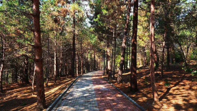 Sapanca Gölü kenarında eşsiz proje kapılarını açtı