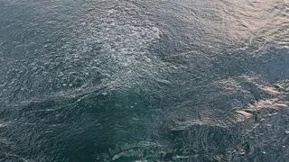 Sapanca Gölü'nde kaydedilen kabarcıklar gizemini koruyor