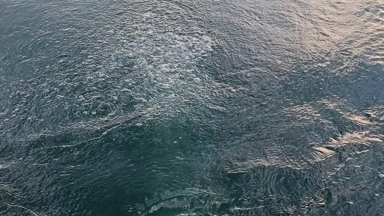 Sapanca Gölü'nde kaydedilen kabarcıklar gizemini koruyor