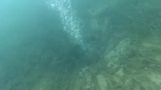 Sapanca Gölü'ndeki endişelendiren kabarcıkların nedeni ne? Açıklama geldi