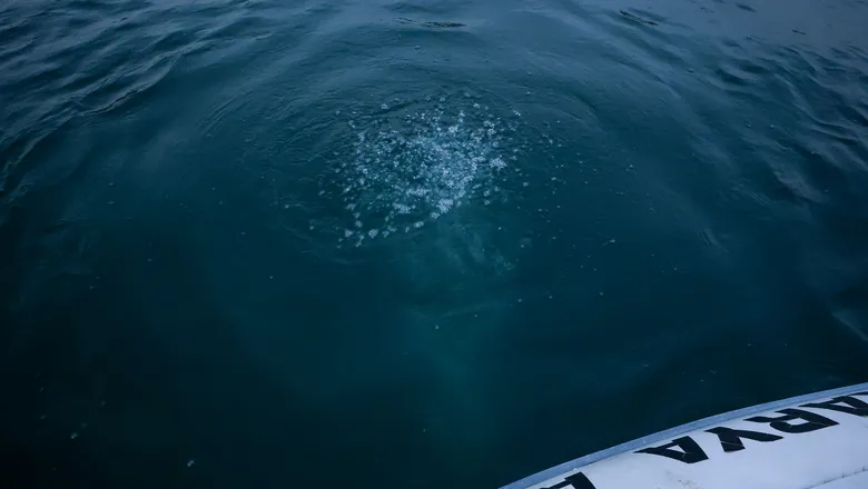 Sapanca Gölü'ndeki kabarcıklar endişe oluşturmuştu; SASKİ açıklama yaptı