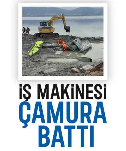 Sapanca Gölü sahilinde ilginç olay: Çamura battı