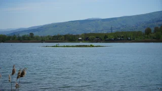 Sapanca Gölü'nde gizemli ada yeniden ortaya çıktı