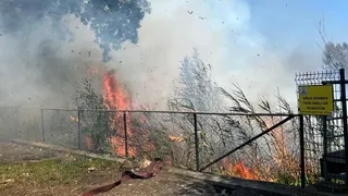 Sapanca Gölü’nde Sazlık Yangını Paniği!