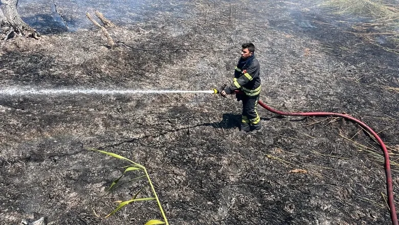 Sapanca Gölü’nde Sazlık Yangını Paniği!