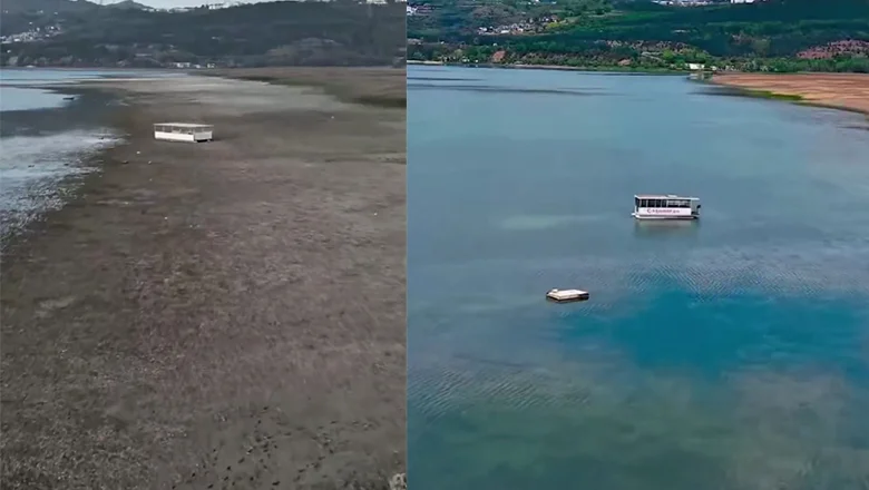 Sapanca Gölü’nde yüz güldüren değişim fotoğraflara yansıdı