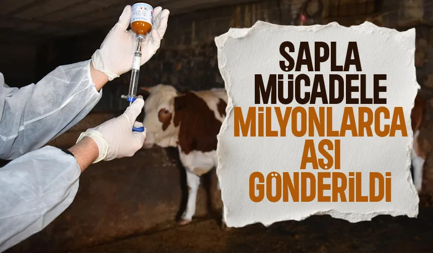 Şapla mücadele için 12,5 milyon aşı gönderildi