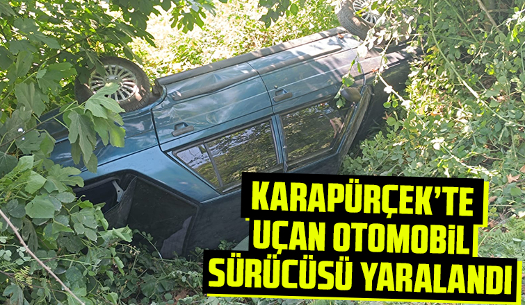 Şarampole uçan otomobil sürücüsü yaralandı