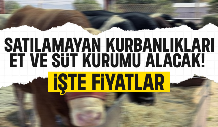 Satılamayan kurbanlıkları Et ve Süt Kurumu alacak