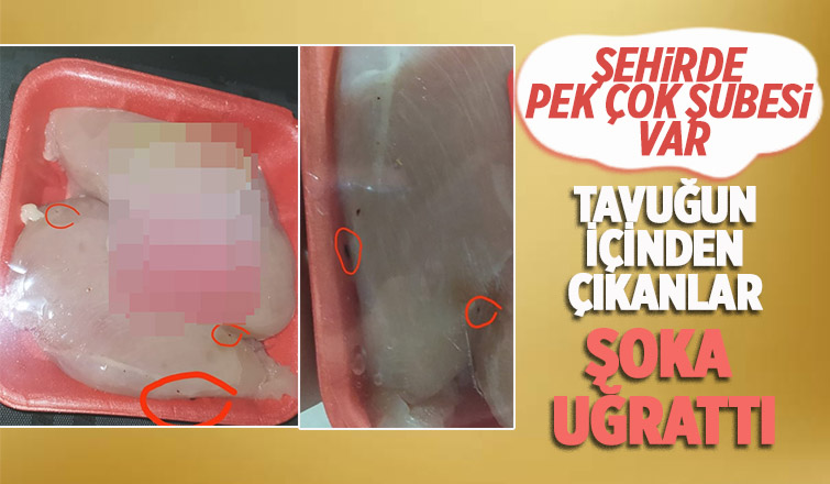 Satın aldığı tavuktan kurtlar çıktı