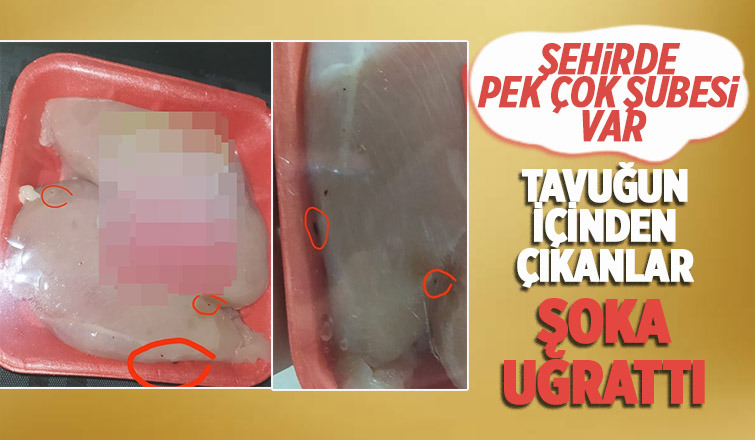 Satın aldığı tavuktan kurtlar çıktı