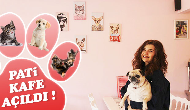 Şehrin ilk hayvan dostu kafesi Pati Kafe açıldı