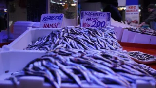 Sezonun son balıkları tezgahta