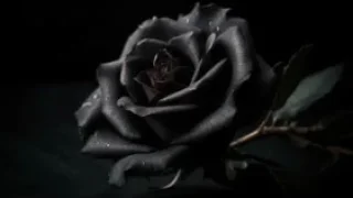 SGC Başkanı Matur'un acı günü