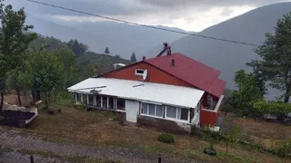 Sıcaktan bunalanlar yaylala kaçtı