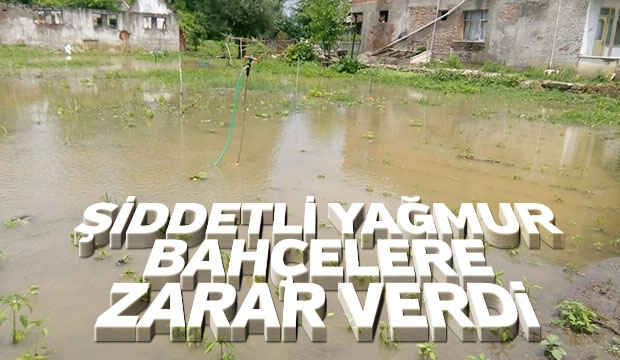 Şiddetli Yağış Bahçelere Zarar Verdi