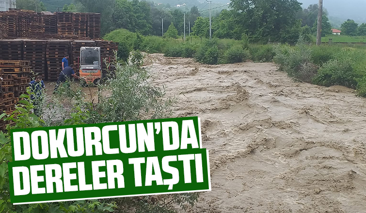 Şiddetli yağış Dokurcunu vurdu