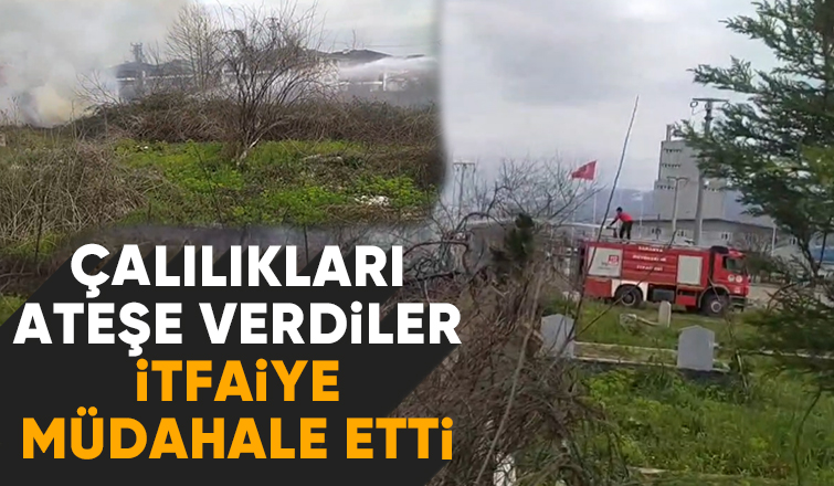 Sigara içerken çalılıkları ateşe verdiler