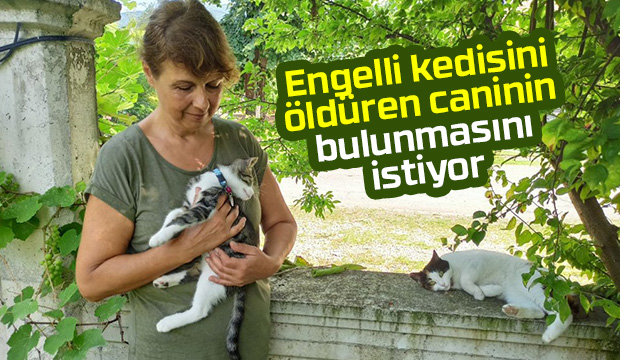 Silahla Sütlacı öldüren caninin bulunmasını istiyor