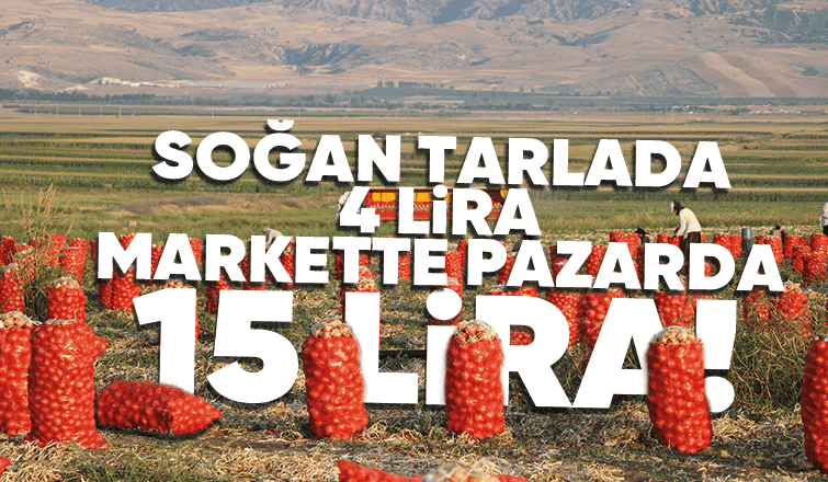 Soğanın fiyatı tarlada 4 liraya düştü