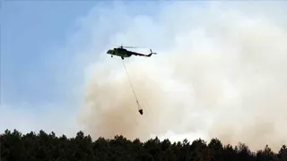 Söğütlü'de 10 hektar orman kül oldu