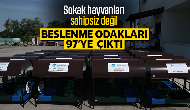 Sokak hayvanları için besleme odakları