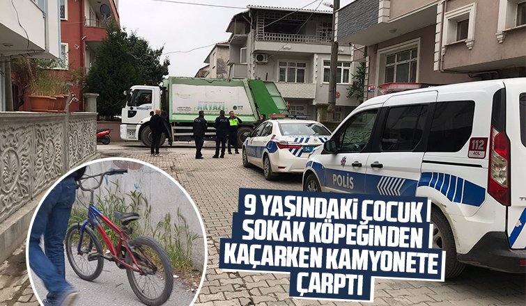 Sokak köpeğinden kaçarken kamyonete çarptı