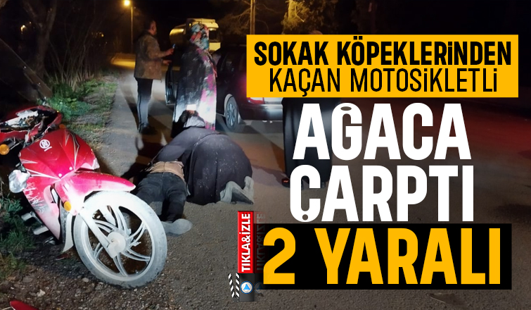 Sokak köpeklerinin kovaladığı motosikletli kaza yaptı.   2 yaralı