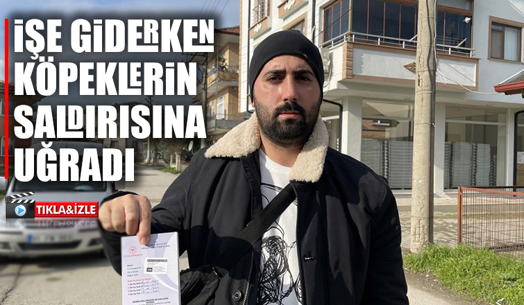 Sokak köpeklerinin saldırısına uğradı