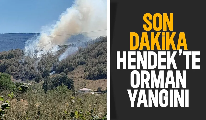 Son Dakika Alevler Hacımbey’de Ormanı Sardı