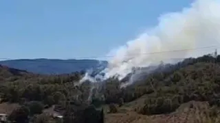 Son Dakika Alevler Hacımbey’de Ormanı Sardı