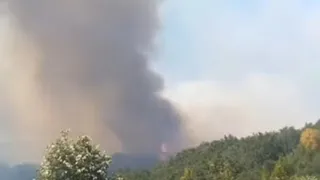 SON DAKİKA Hendek’te Orman Yangını!