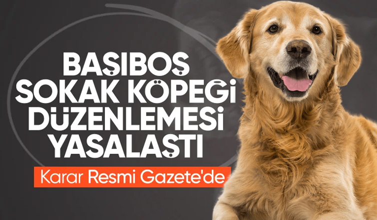 SON DAKİKA! Sokak hayvanlarına ilişkin yasa Resmi Gazete'de