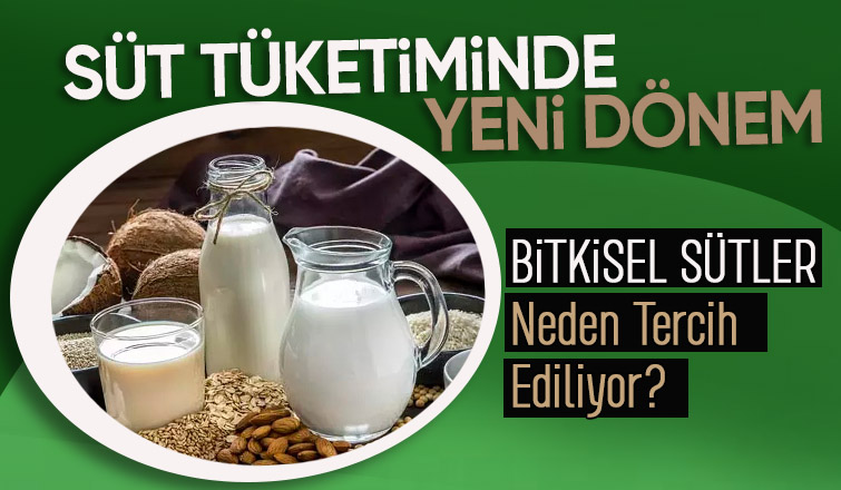 Son Zamanların Trend Konusu Bitkisel Sütler